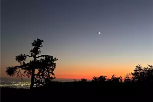 25515 True, Twin Peaks, CA 92391 - Photo 2