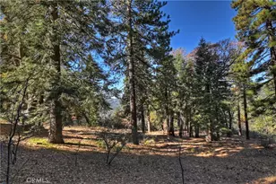 30580 Live Oak, Running Springs, CA 92382 - Photo 26