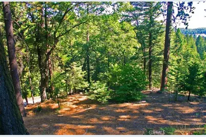 525 Ca-173, Lake Arrowhead, CA 92352 - Photo 10