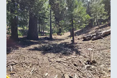 586 Rose, Twin Peaks, CA 92391 - Photo 20