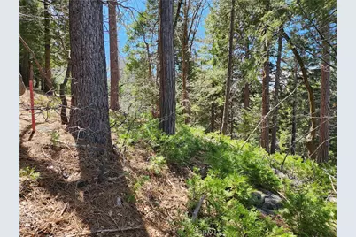 586 Rose, Twin Peaks, CA 92391 - Photo 12