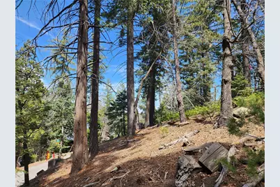 586 Rose, Twin Peaks, CA 92391 - Photo 16