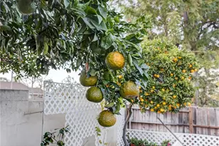 23191 Canyon Estates, Corona, CA 92883 - Photo 34