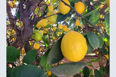 1192 Cherry Lane, Calimesa, CA 92320 - Photo 26