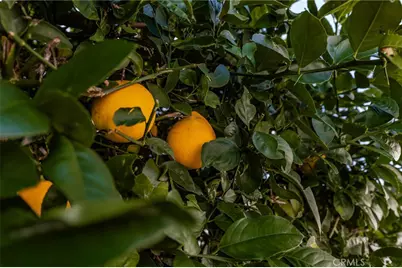 12220 5th Street #195, Yucaipa, CA 92399 - Photo 26