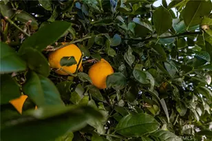 12220 5th St, Yucaipa, CA 92399 - Photo 26