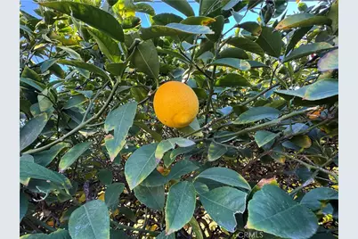 6581 Merito, San Bernardino, CA 92404 - Photo 14