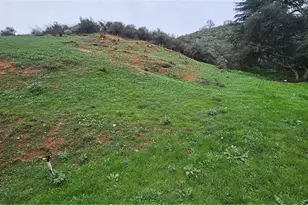 35080 Chandler Ave, Calimesa, CA 92320 - Photo 2