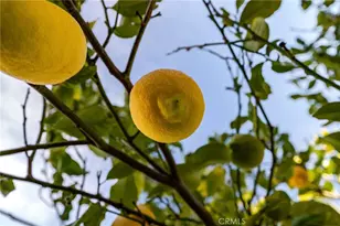 7415 Candlelight Dr, Jurupa, CA 92509 - Photo 38