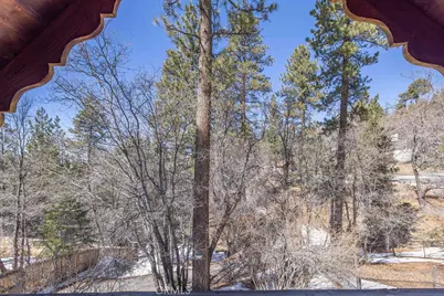 43411 Sheephorn Road, Big Bear Lake, CA 92315 - Photo 22