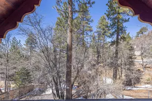 43411 Sheephorn Rd, Big Bear Lake, CA 92315 - Photo 22