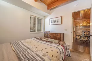 43411 Sheephorn Rd, Big Bear Lake, CA 92315 - Photo 14