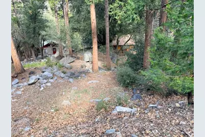40904 Spruce, Forest Falls, CA 92339 - Photo 4