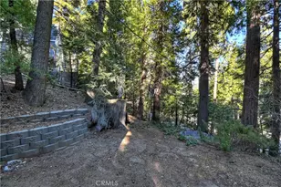 28999 Cedar Terrace, Cedar Glen, CA 92321 - Photo 8