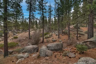 898 Brier Trail, Big Bear Lake, CA 92315 - Photo 30