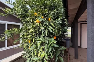 10500 Frontier, Cherry Valley, CA 92223 - Photo 14