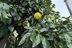 10500 Frontier, Cherry Valley, CA 92223 - Photo 16