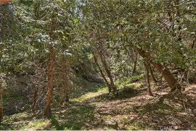 23491 Short Way, Crestline, CA 92325 - Photo 10