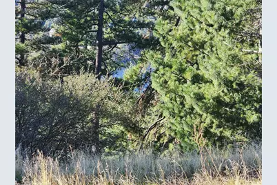 839 Arbula, Crestline, CA 92325 - Photo 20