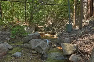29591 Hook Creek Rd, Cedar Glen, CA 92321 - Photo 40