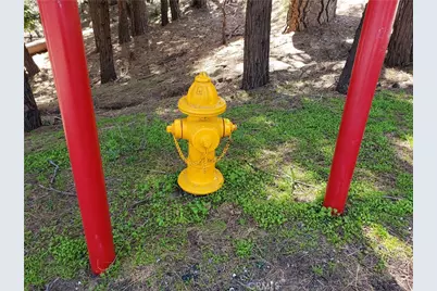 24155 San Moritz Drive, Crestline, CA 92325 - Photo 10