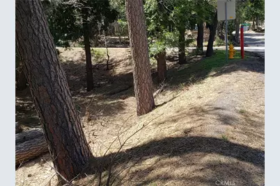 24155 San Moritz Drive, Crestline, CA 92325 - Photo 8