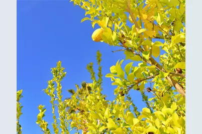 45525 Highway 79 Lot 180, Aguanga, CA 92536 - Photo 6