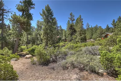 38602 Talbot, Big Bear Lake, CA 92315 - Photo 16