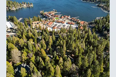 252 Crest Circle, Lake Arrowhead, CA 92352 - Photo 30