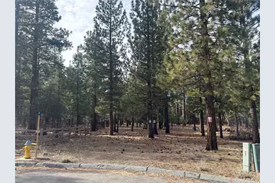 1801 Shady, Big Bear City, CA 92314 - Photo 2