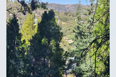 24200 Altdorf, Crestline, CA 92325 - Photo 28