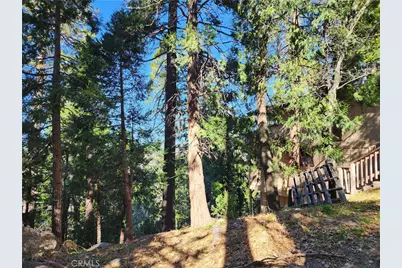 24200 Altdorf, Crestline, CA 92325 - Photo 24