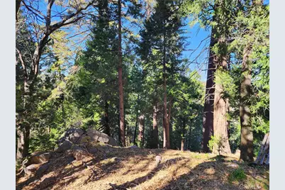 24200 Altdorf, Crestline, CA 92325 - Photo 22