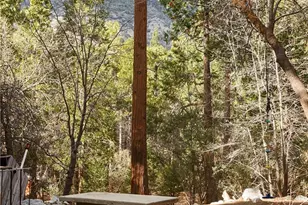9249 Wood, Forest Falls, CA 92339 - Photo 32