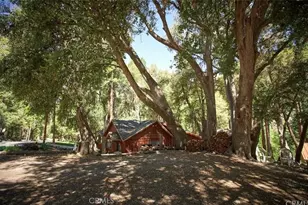 40204 Valley Of The Falls, Forest Falls, CA 92339 - Photo 2