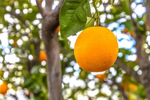 10165 10165 Frontier Trail, Cherry Valley, CA 92223 - Photo 46