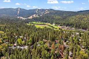 1160 W Alta Vista, Big Bear City, CA 92314 - Photo 22