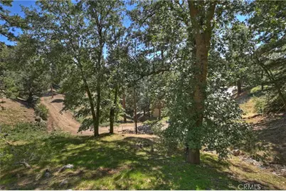 21510 Crest Forest Drive, Cedarpines Park, CA 92322 - Photo 28