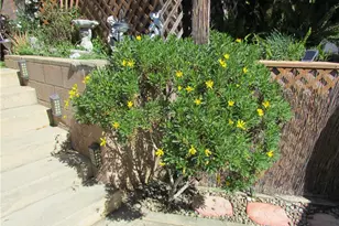 31388 Sierra Linda St, Yucaipa, CA 92399 - Photo 26