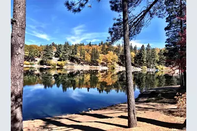 33874 Green Valley Lake Road, Green Valley Lake, CA 92341 - Photo 38