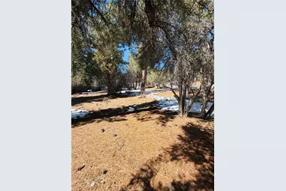 808 Antelope Mountain, Big Bear City, CA 92314 - Photo 1