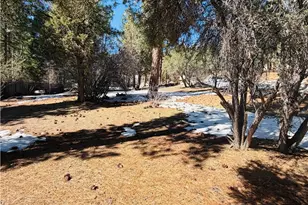 808 Antelope Mountain, Big Bear City, CA 92314 - Photo 1