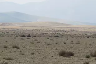 0 043-470-11-00-2 Sunflower Ave, Lost Hills, CA 93249 - Photo 1