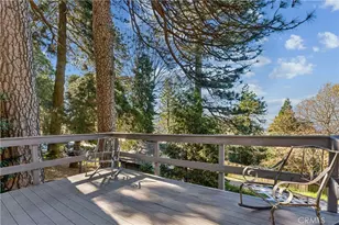 21621 Sawpit Canyon, Cedarpines Park, CA 92322 - Photo 28