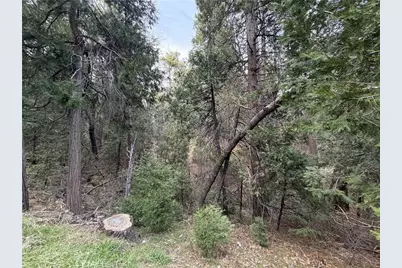 0 Hook Creek, Cedar Glen, CA 92321 - Photo 4