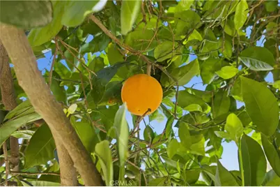 611 S Laurel Ave, Ontario, CA 91762 - Photo 30