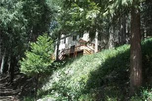 21636 Sawpit Canyon, Cedarpines Park, CA 92322 - Photo 46