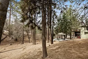 32425 Snowshoe, Running Springs, CA 92382 - Photo 38