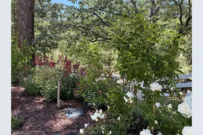 32425 Snowshoe, Running Springs, CA 92382 - Photo 6
