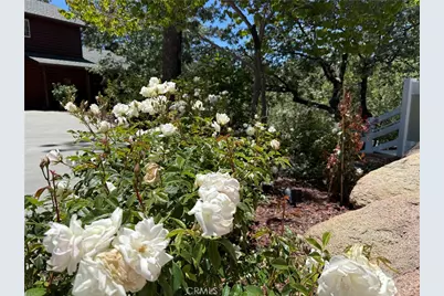 32425 Snowshoe, Running Springs, CA 92382 - Photo 4